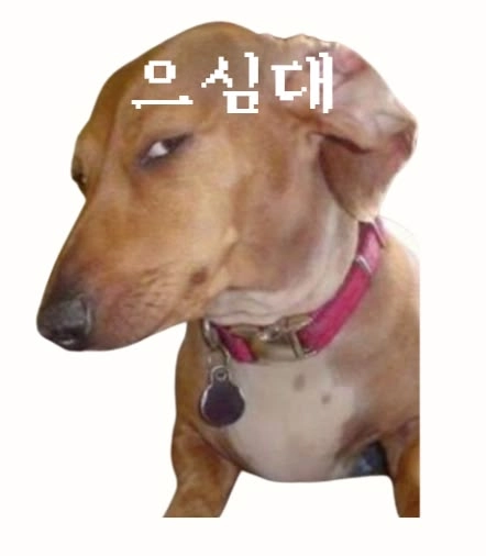 이미지 = 핀터레스트 캡처 (https://kr.pinterest.com/pin/877216833684011640/)