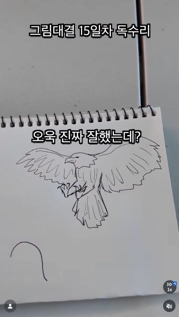 이미지 = 인스타그램 캡처 (https://www.instagram.com/reel/DbmQ23PyTP0/)