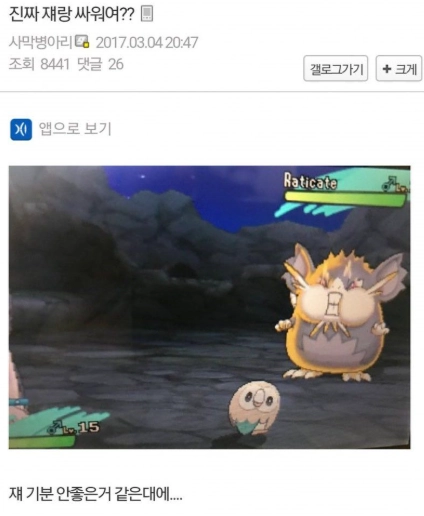 이미지 = 핀터레스트 캡처 (https://kr.pinterest.com/pin/600738037833426217/)