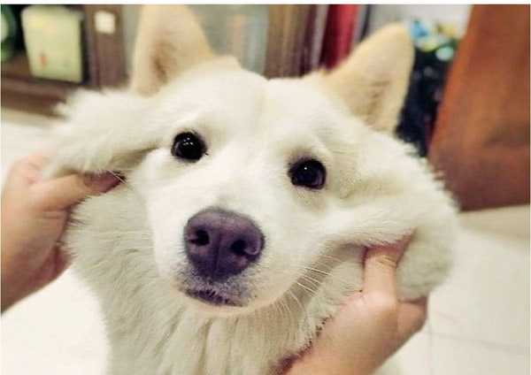 이미지 = 네이버 블로그 캡쳐 (https://blog.naver.com/joannelike/221055035943)