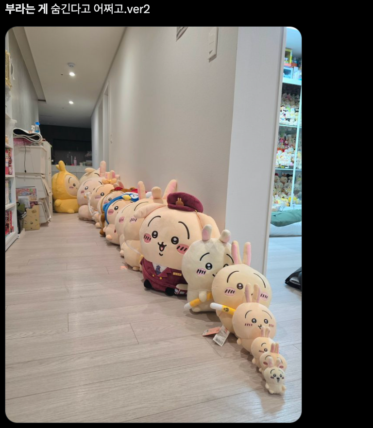 이미지 = X 캡처 (https://x.com/Uusagi_____yaha/status/2102747816447901886)