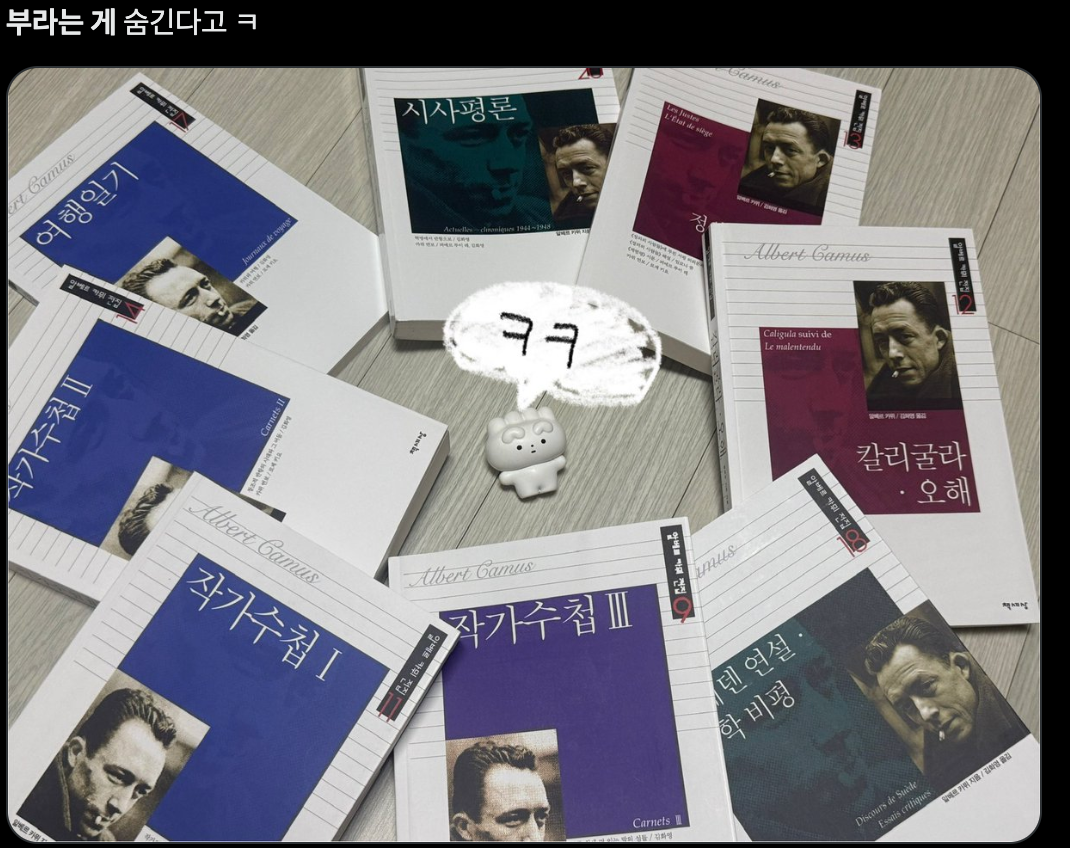 이미지 = X 캡처 (https://x.com/yammykim6v6/status/2102769782437351498)
