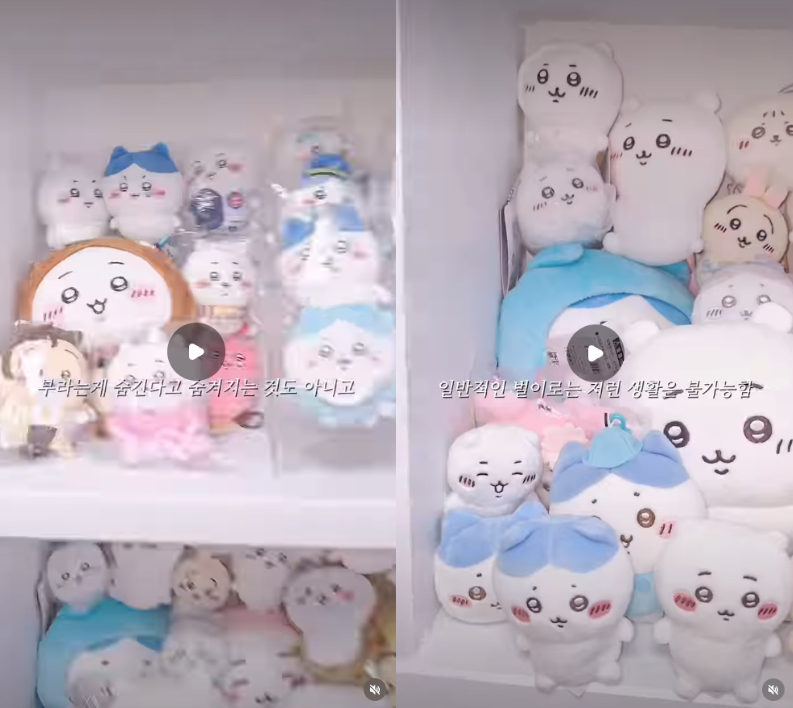 이미지 = 인스타그램 ‘@gonwaii’ 채널 릴스 캡처 (https://www.instagram.com/reels/DdqTqJIxwpi/)