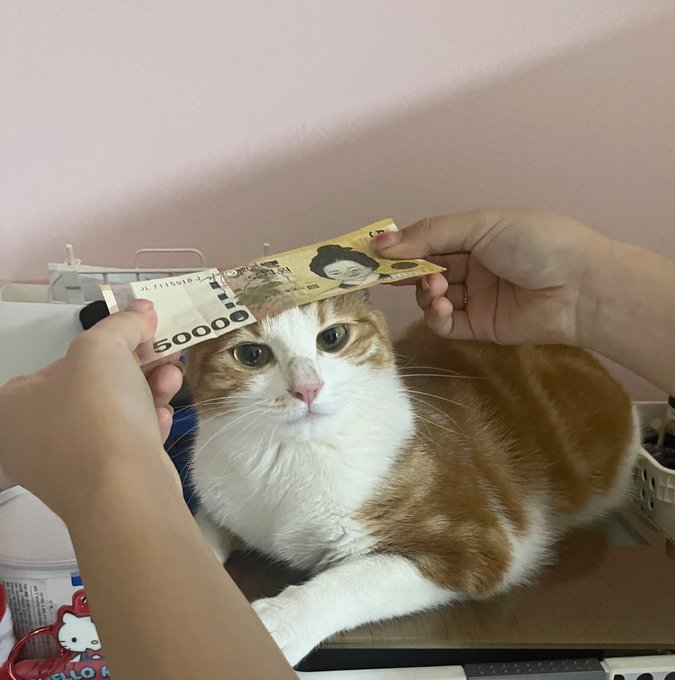 이미지 = X 캡처 (https://x.com/mo0_mo00/status/1825542632283775416)
