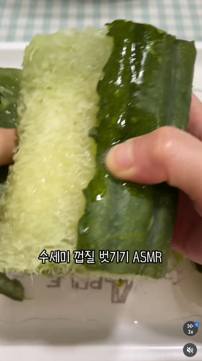 이미지 = 인스타그램 캡처 (https://www.instagram.com/p/DeO7vLwxr4L/)