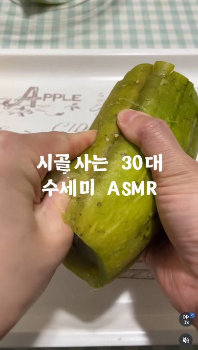 이미지 = 인스타그램 캡처 (https://www.instagram.com/p/DeUDbfZRaIt/)