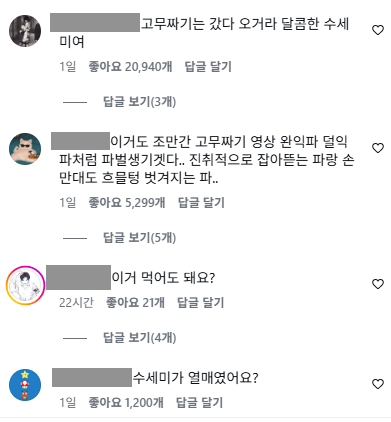 이미지 = 인스타그램 캡처(https://www.instagram.com/p/DeUDbfZRaIt/)