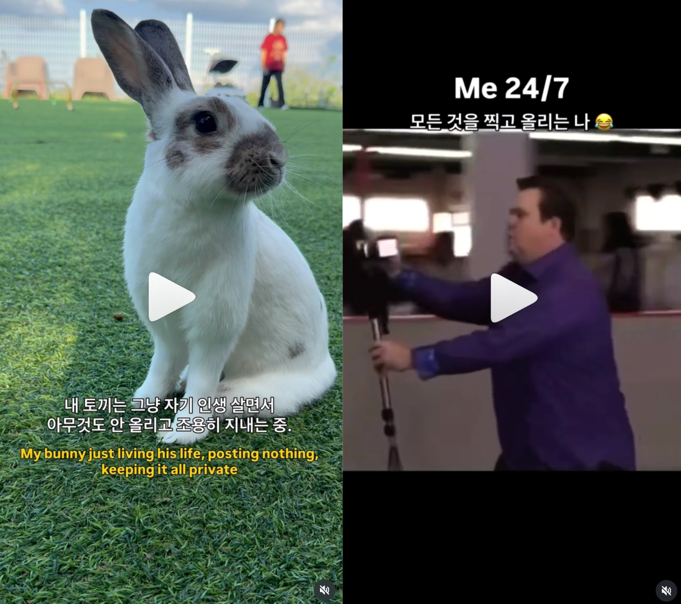 이미지 = 인스타그램 ‘@chubby_tong_tong’ 채널 릴스 캡처 (https://www.instagram.com/reel/DeOaB5niduO/)
