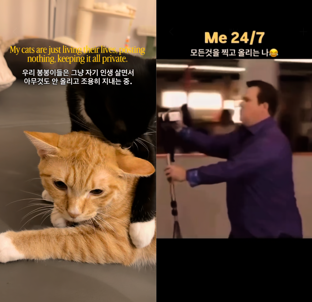 이미지 = 인스타그램 ‘@jubong.zip’ 채널 릴스 캡처 (https://www.instagram.com/reel/DerM_-vMrce)