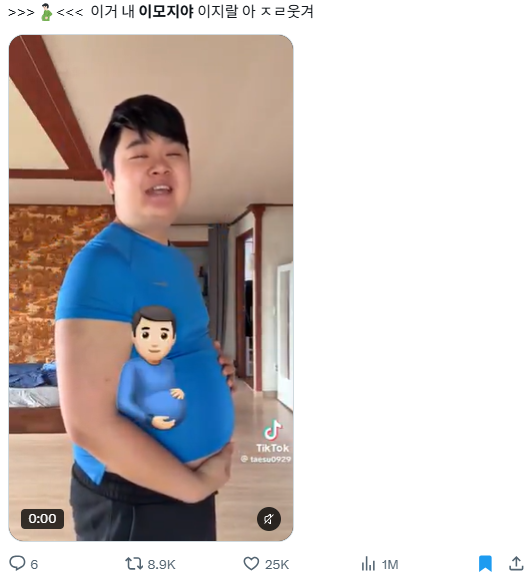 이미지 = X캡처 (https://x.com/ilovesakry0/status/2114325918223339960?s=20)