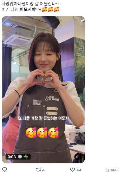 이미지 = X캡처 (https://x.com/illizei/status/2114269784384881025?s=20)