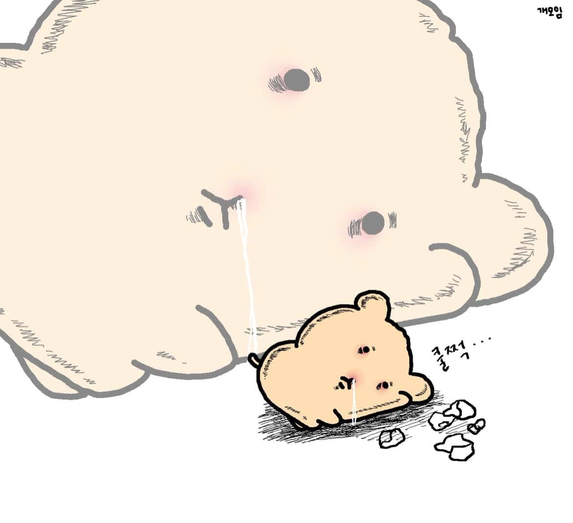 이미지 = 인스타그램 @dogstogether_official(뫙뫙이) 캡처 (https://www.instagram.com/p/DTNfCLdD7wW/)
