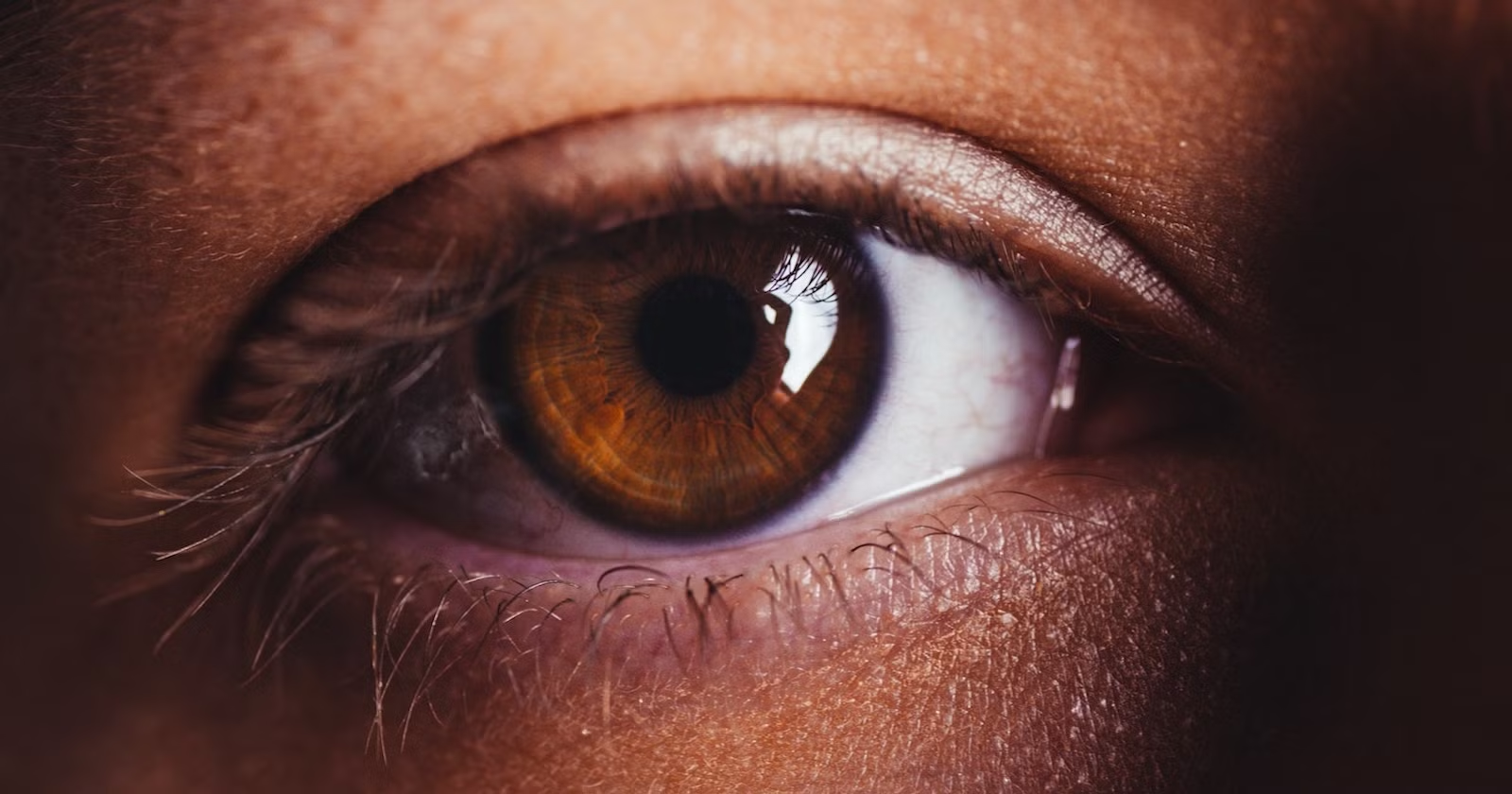 출처: MUO — Extreme Eye Close-Up