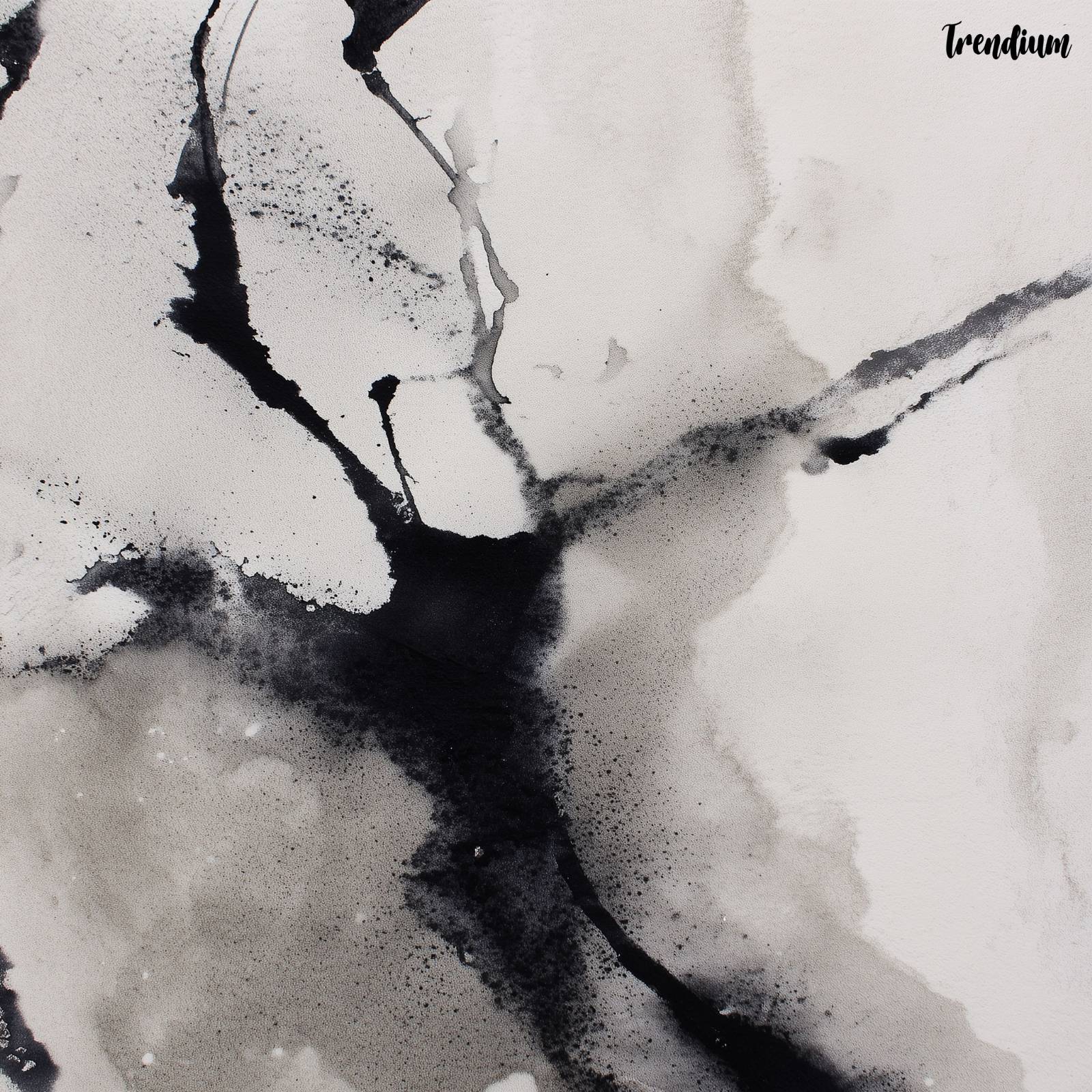 [prompt] monochrome ink abstraction, delicate gestures, deep hanji texture