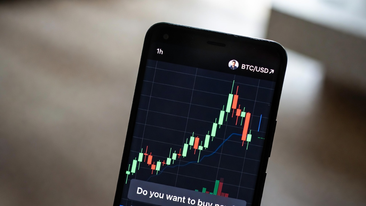 출처: xAI에서 이미지 생성