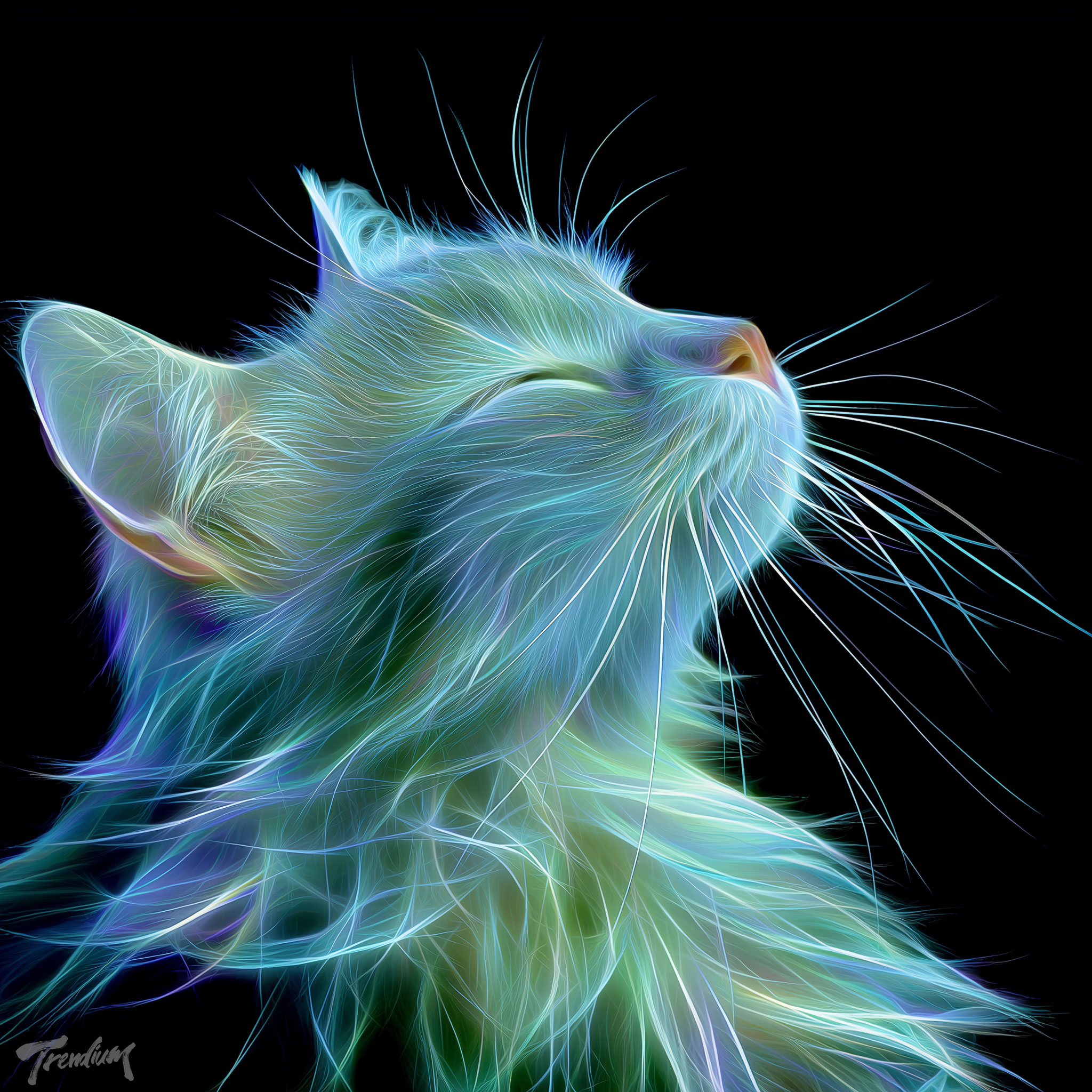 [prompt] cat --sref 2311601210