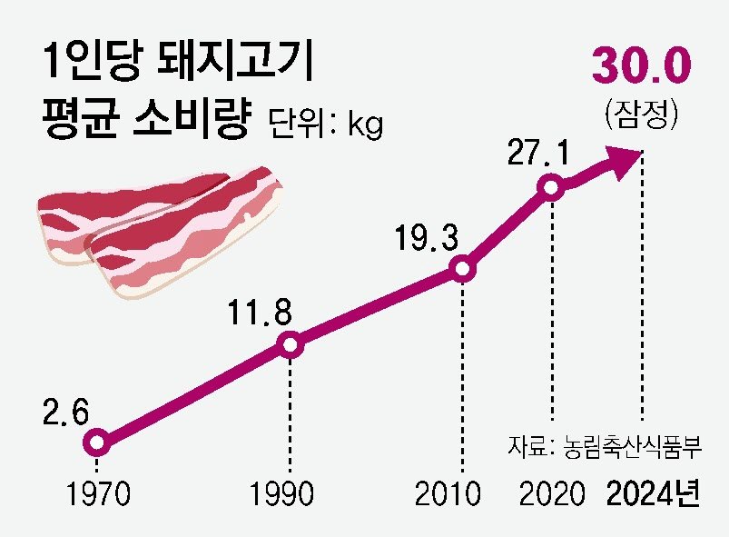 출처 : 동아일보