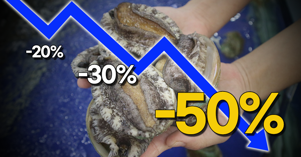 찬 밥 신세가 된 전복?의 썸네일 이미지