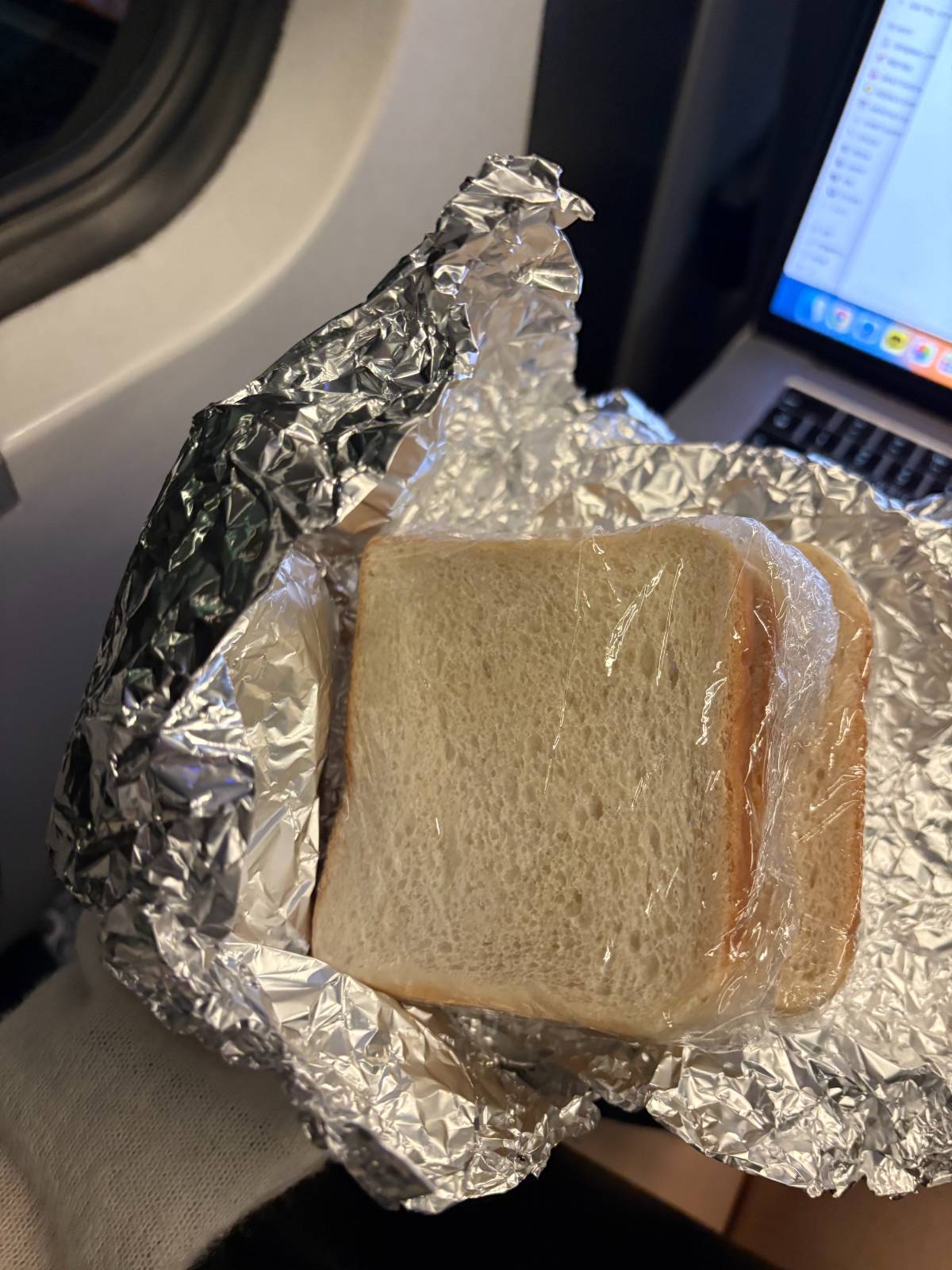 집에서 싸온 샌드위치도 먹고