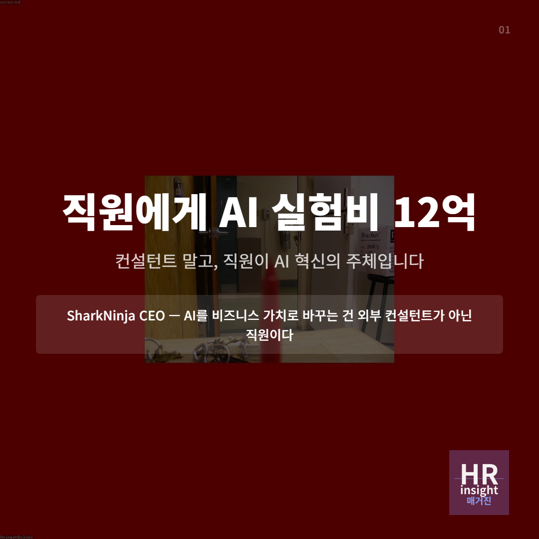 직원에게 AI 실험비 12억의 썸네일 이미지