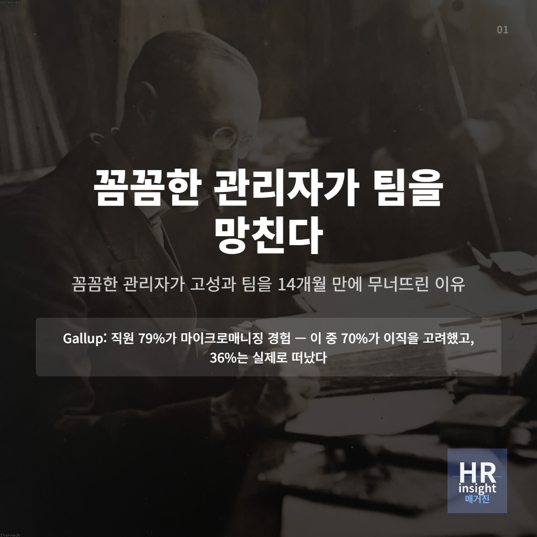 꼼꼼한 관리자가 팀을 망친다의 썸네일 이미지