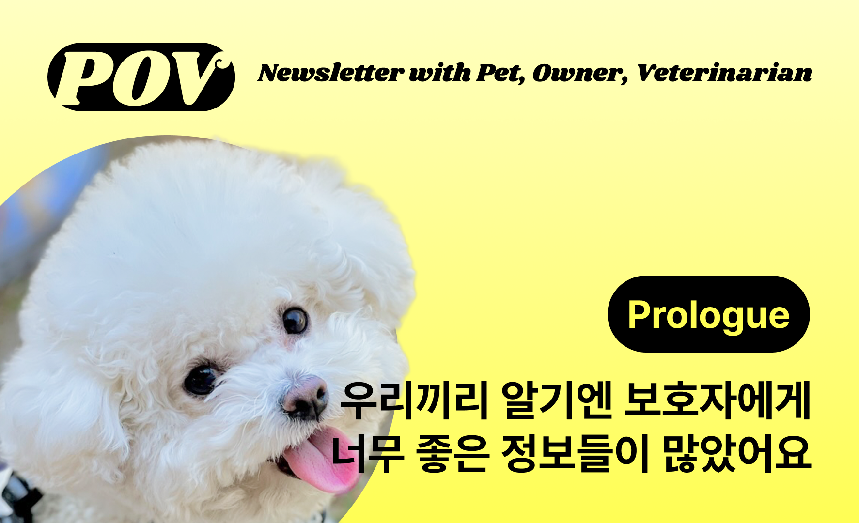 에디터 <로라애비>의 반려견 