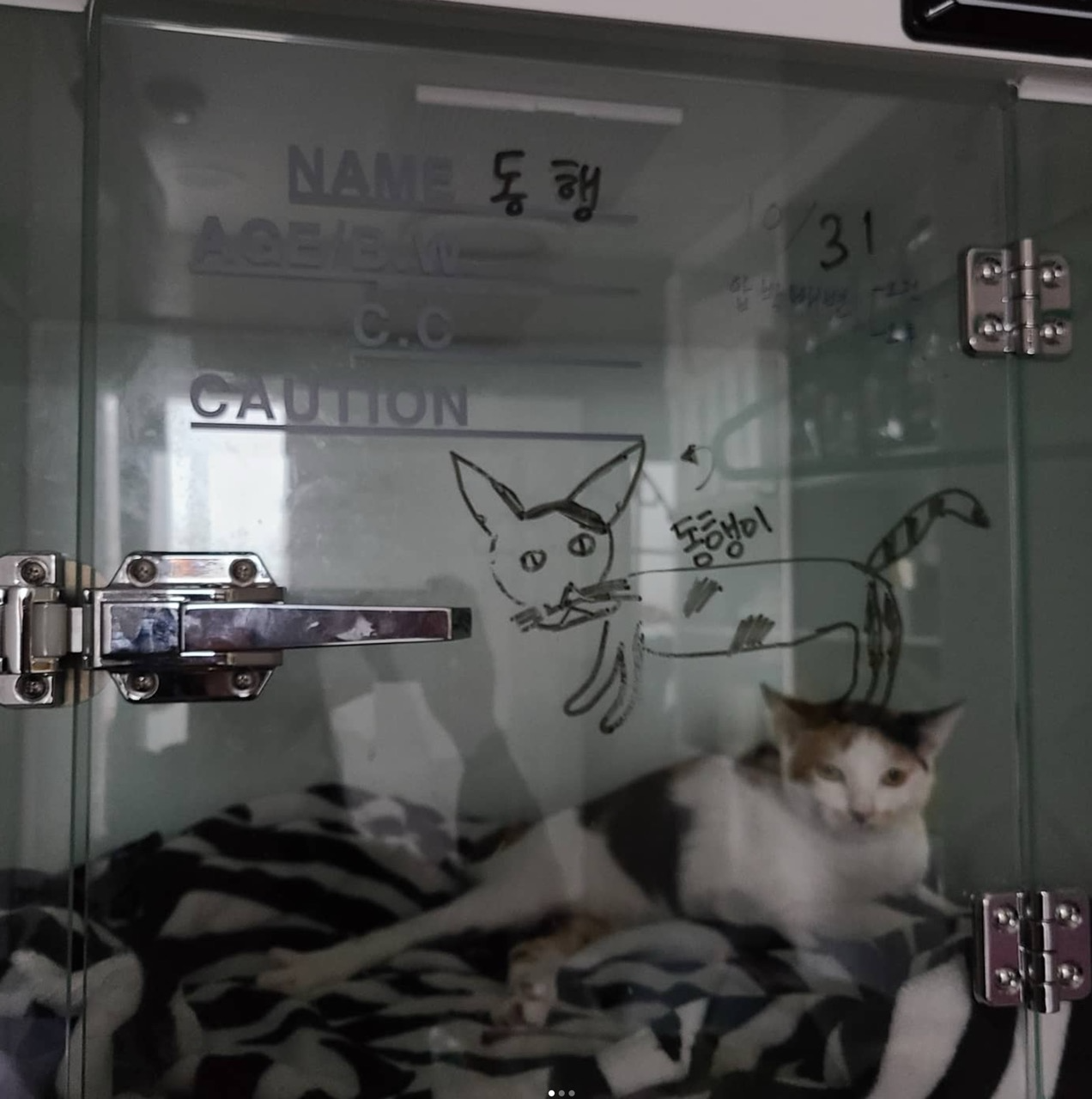 첨부 이미지