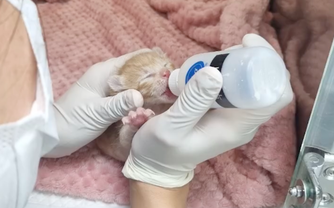 첨부 이미지