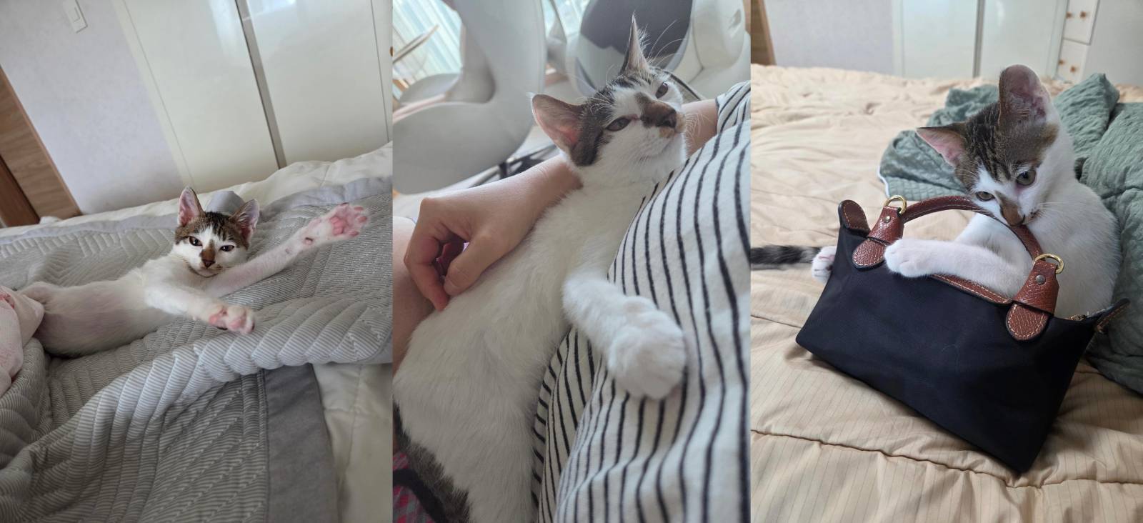 첨부 이미지
