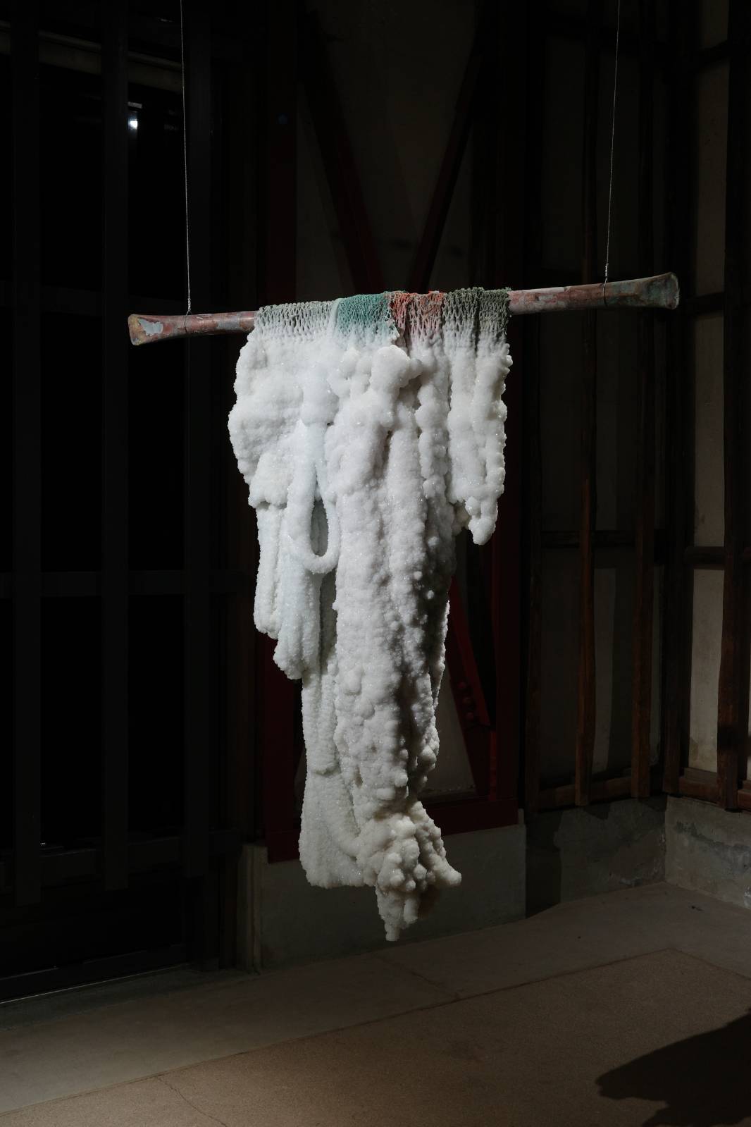 소금 결정이 된 이스라엘 어부들의 그물 <Capacity>, Sigalit Landau © Dana