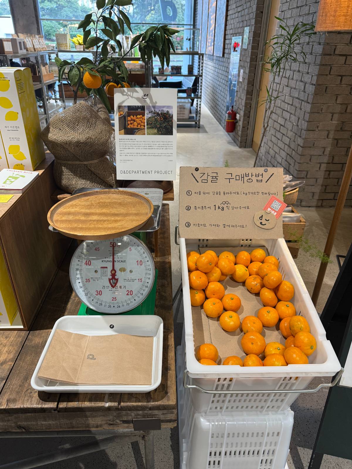 직접 저울로 무게를 재고 봉투에 담아가는 귤