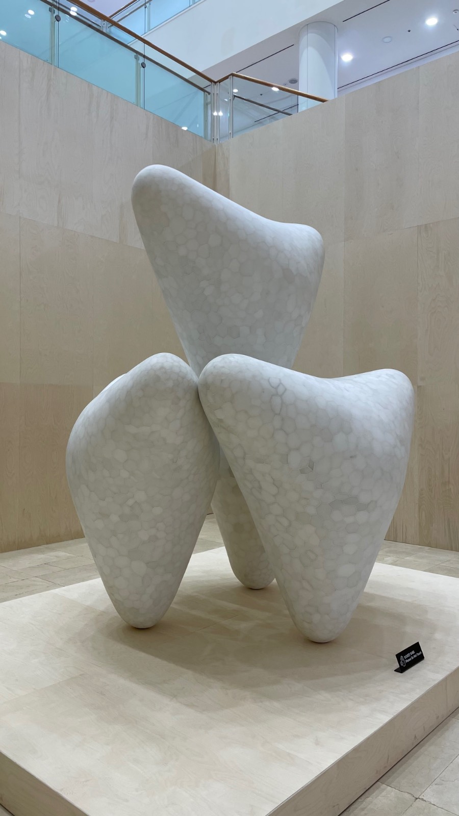 최재은, <루시> ⓒ 차영우