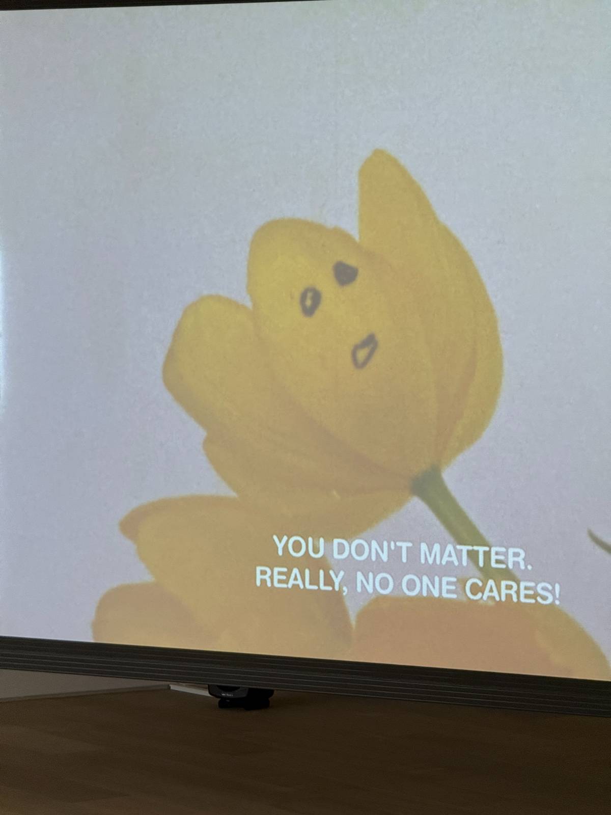 Basim Magdy, 13 Essential Rules for Understanding the World, 2011