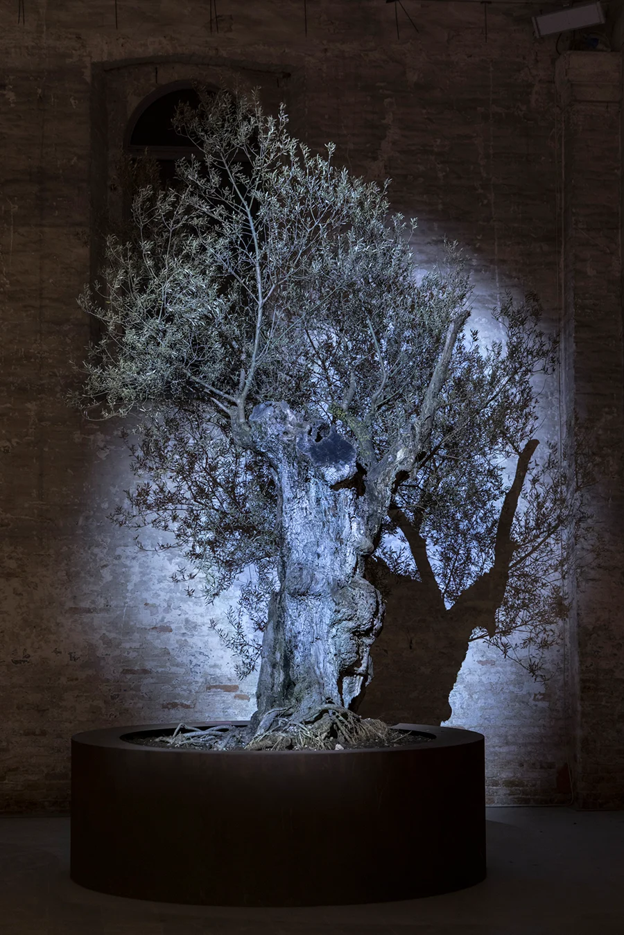 Theo Eshetu,&nbsp;Garden of the Broken Hearted, 2026, installation view, ‘In Minor Keys’, La Biennale di Venezia. Courtesy: La Biennale di Venezia; photograph: Marco Zorzanello