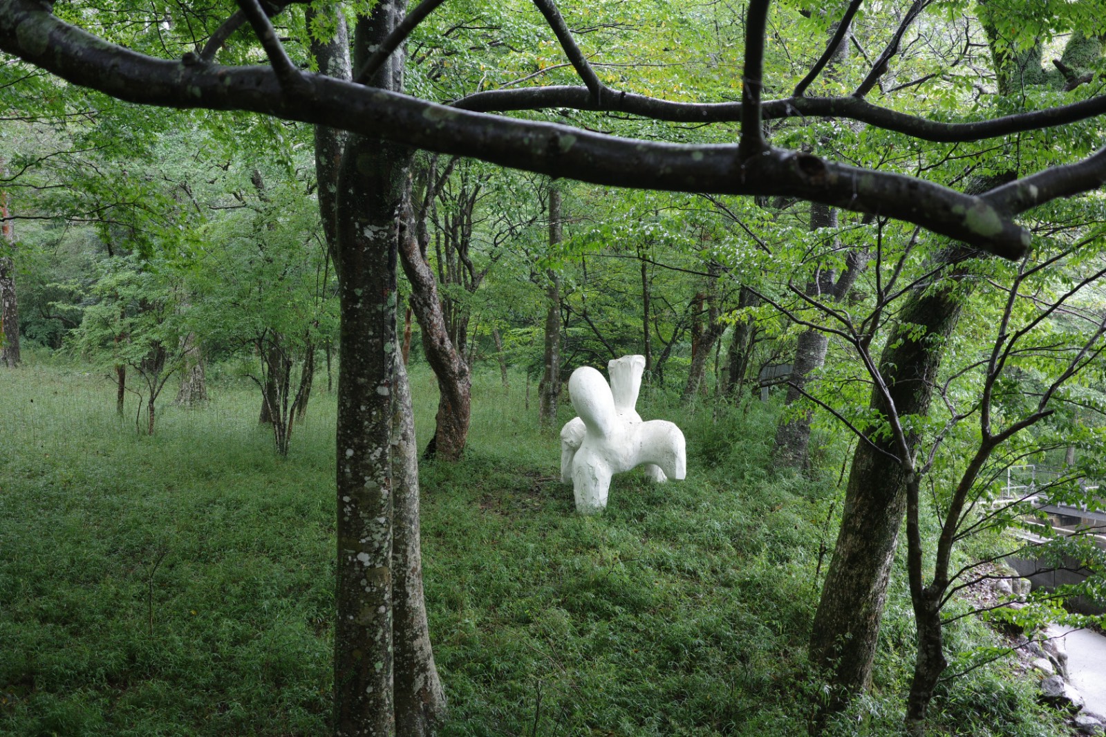 울창한 자연 속 조각이 있는 산책로, Photo by Dana