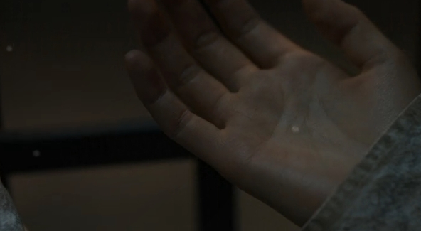 경성크리처 中 크리처로 변하게 만드는 균