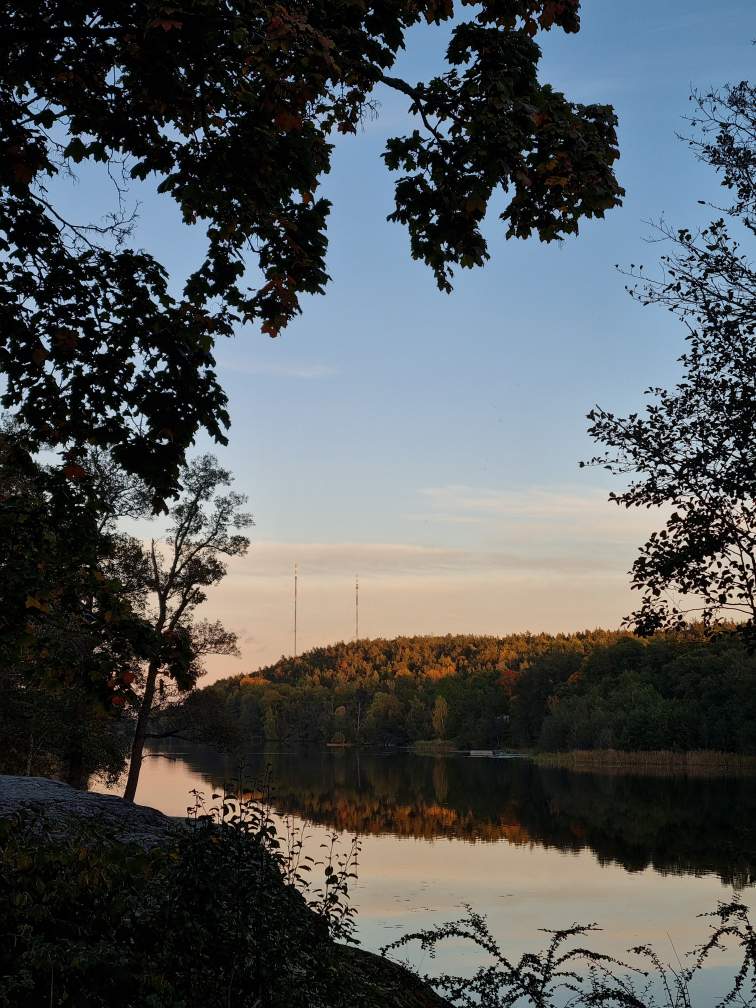 투센탁이 찍은 사진입니다. 노랗게 물든 가을 숲이 참 아름답죠?&nbsp;