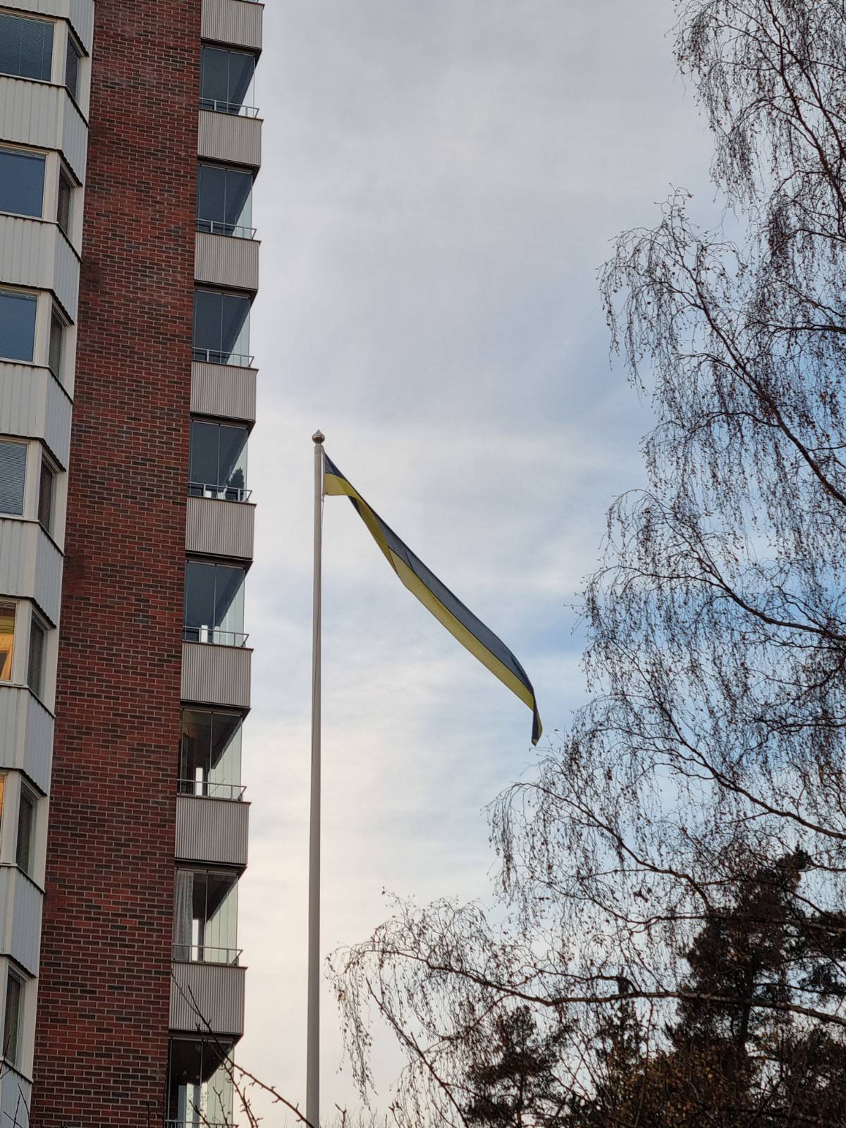 아파트 단지에 있는 스웨덴 국기 Vimple입니다.&nbsp;