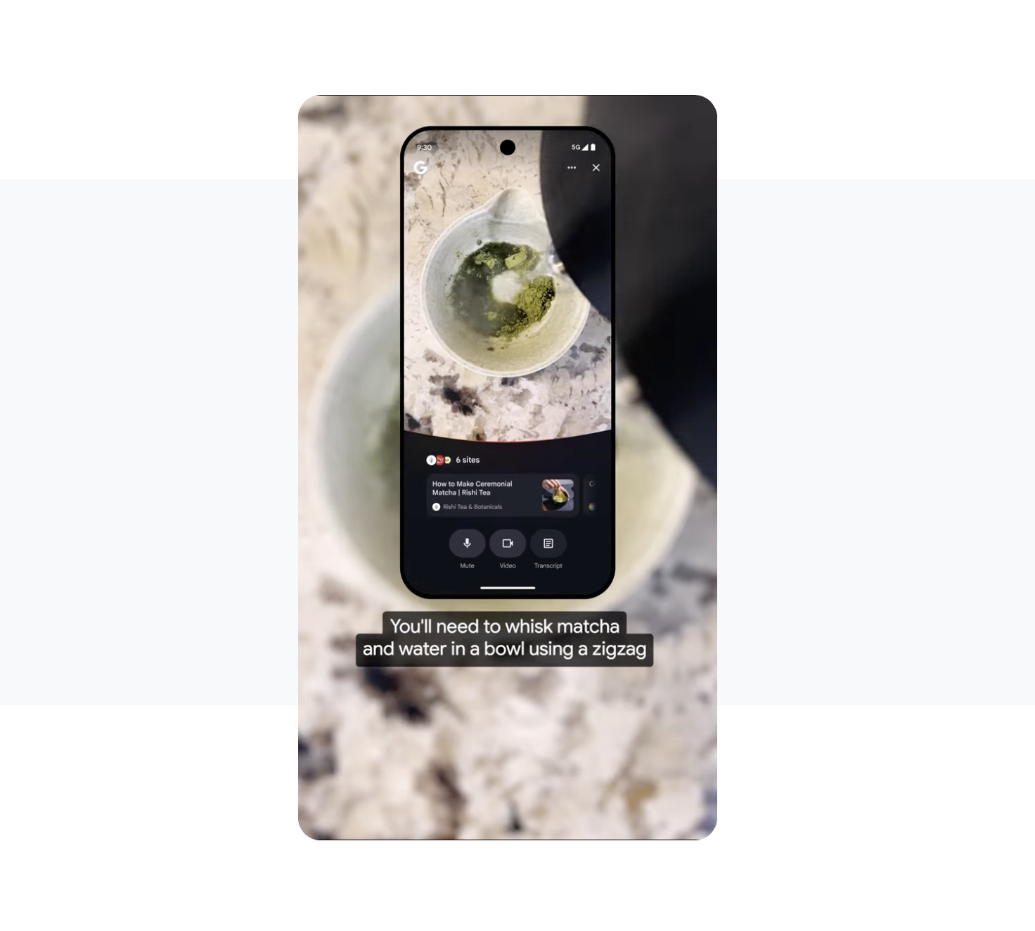 구글 서치라이브