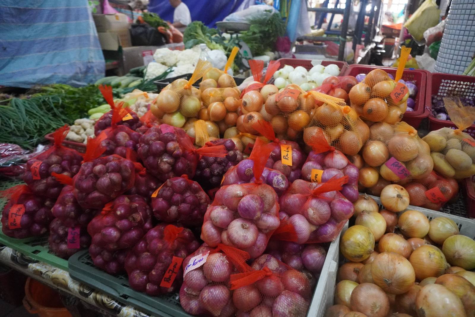 코타키나발루 시장의 채소들