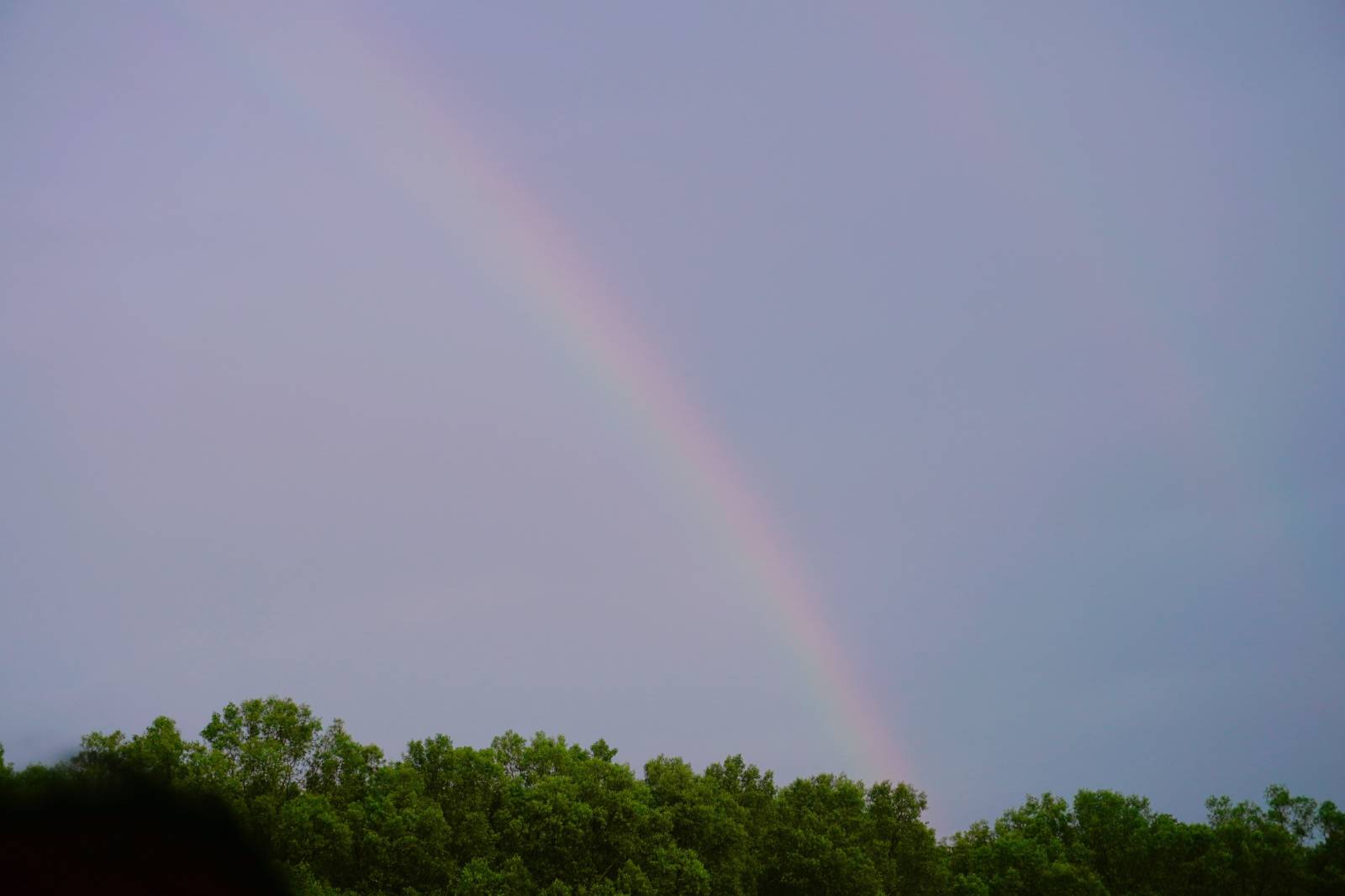 생각이 바뀐 뒤 절묘하게 비가 그치고 무지개가 떴다.