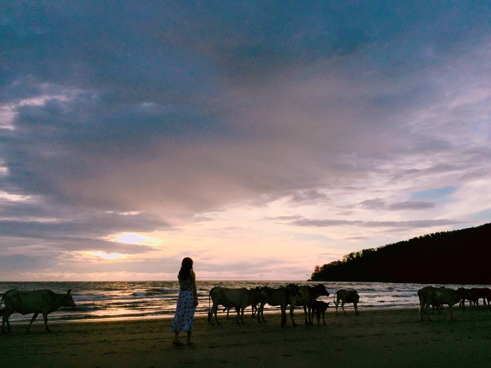 [특집] 코타키나발루 혼자 가봤니?의 썸네일 이미지