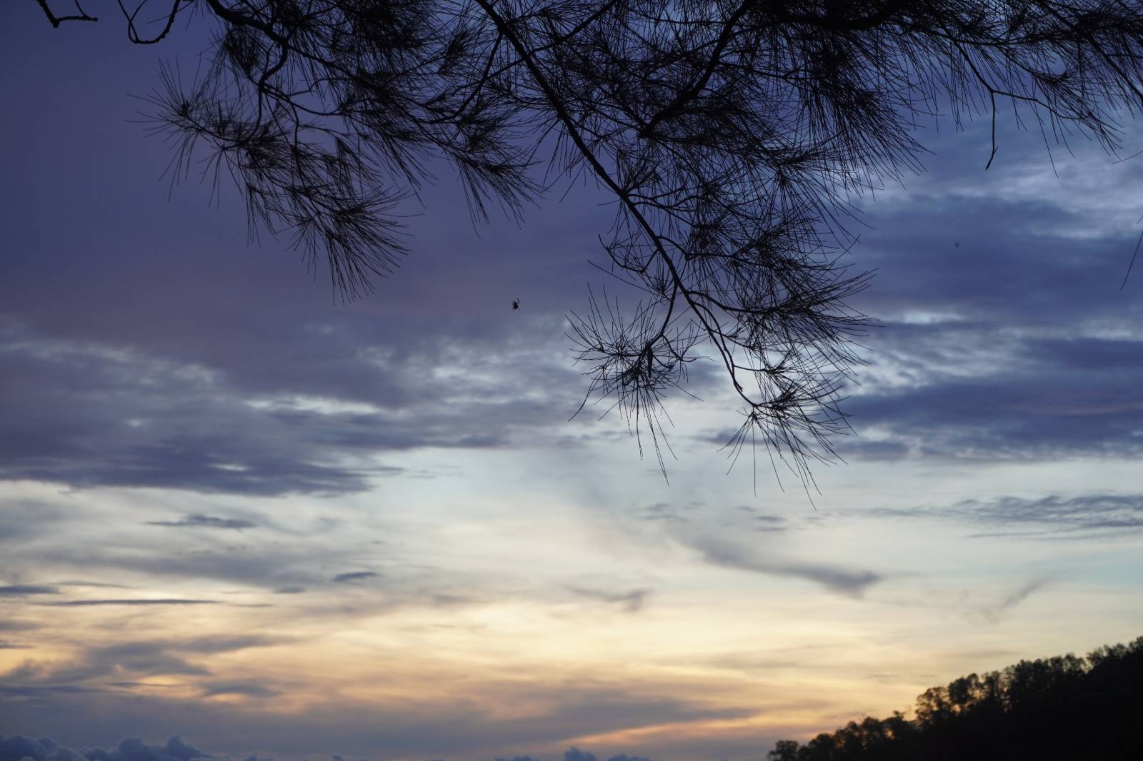 비가 개인 뒤 하늘, 그리고 거미