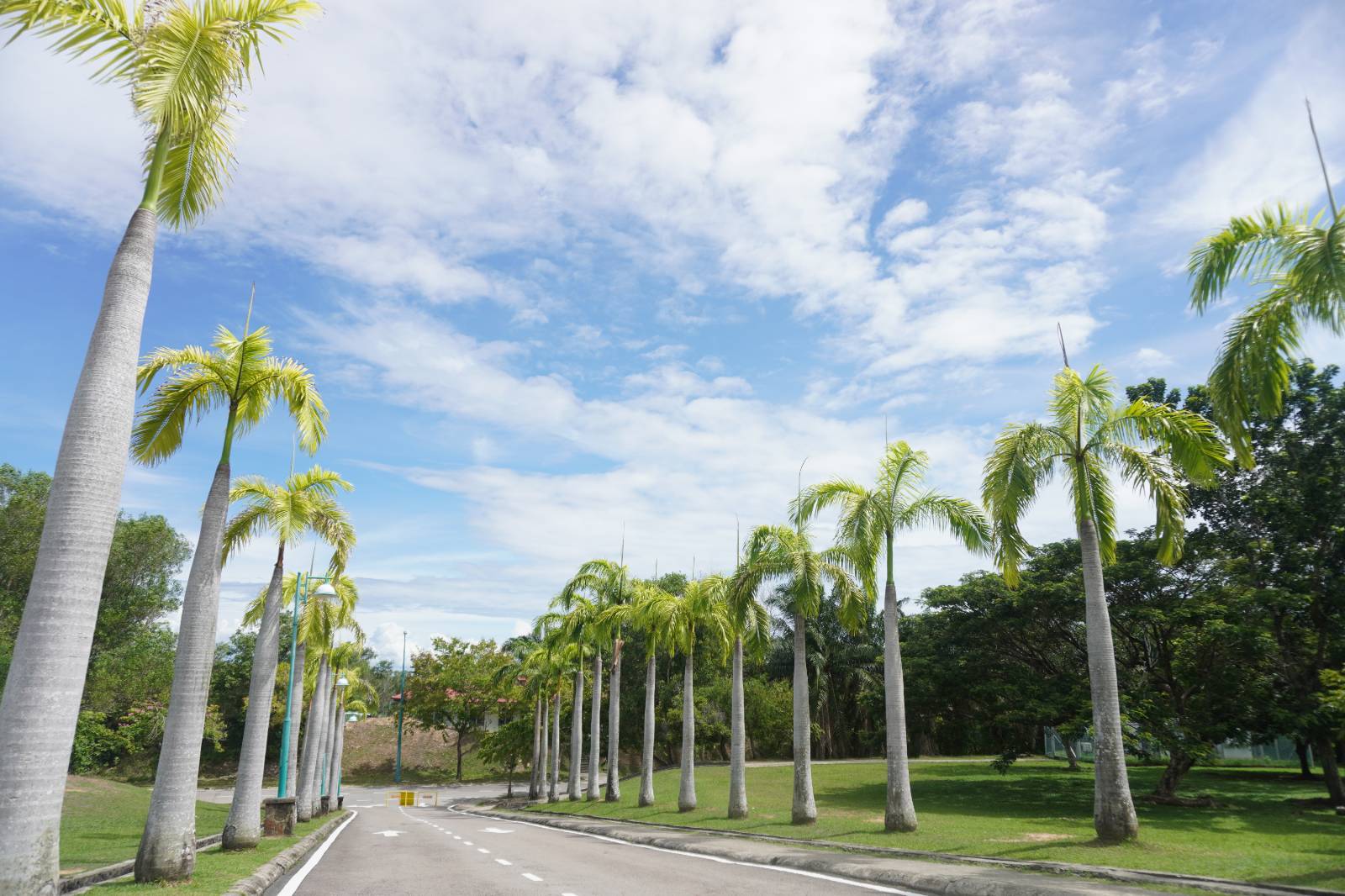 비구름이 걷히고 난 뒤 부터는 놀라울 정도로 날씨가 맑았다