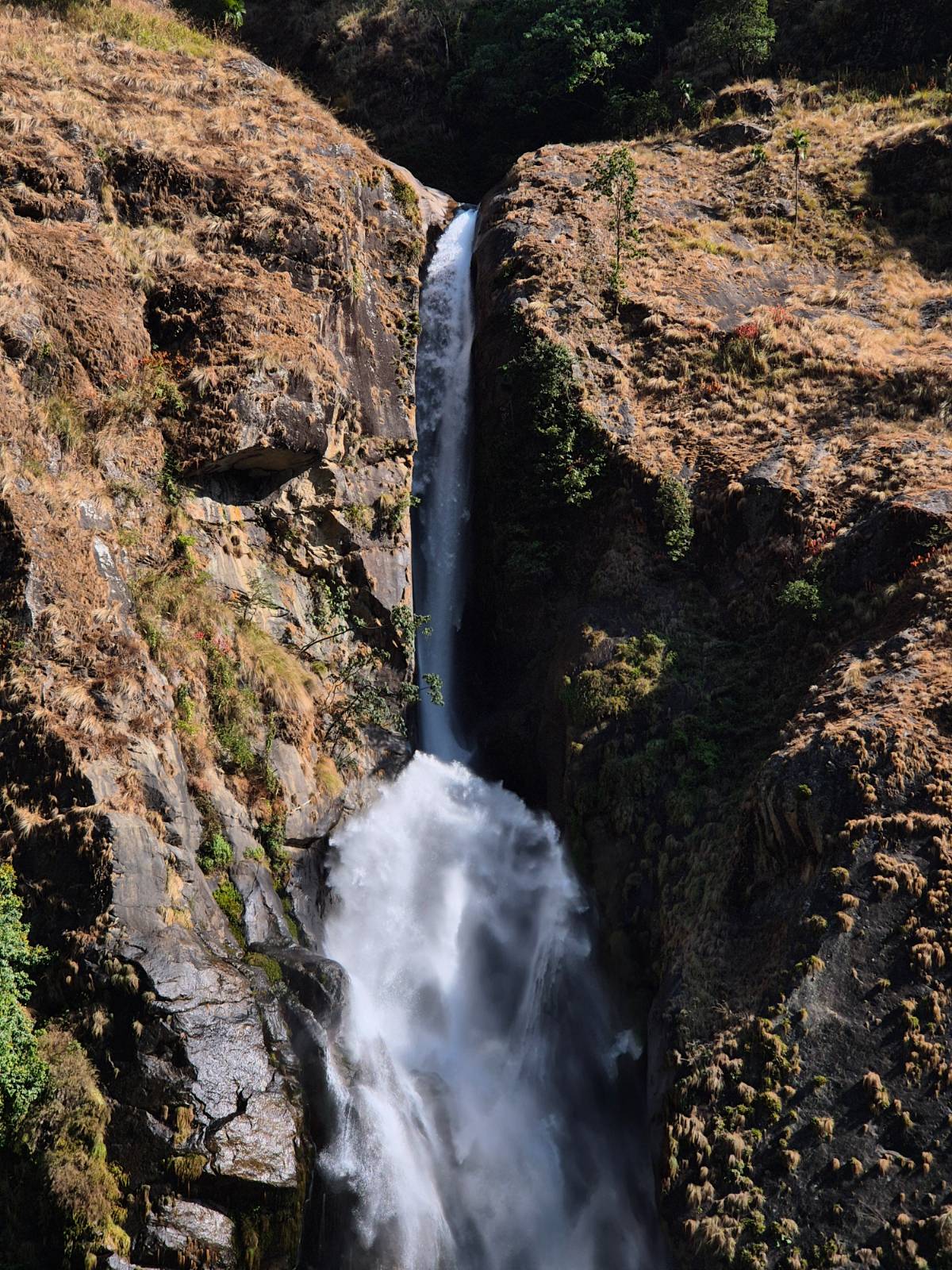 오해가 있을까봐 말하지만, 아름답지 않은 것은 아니었다.