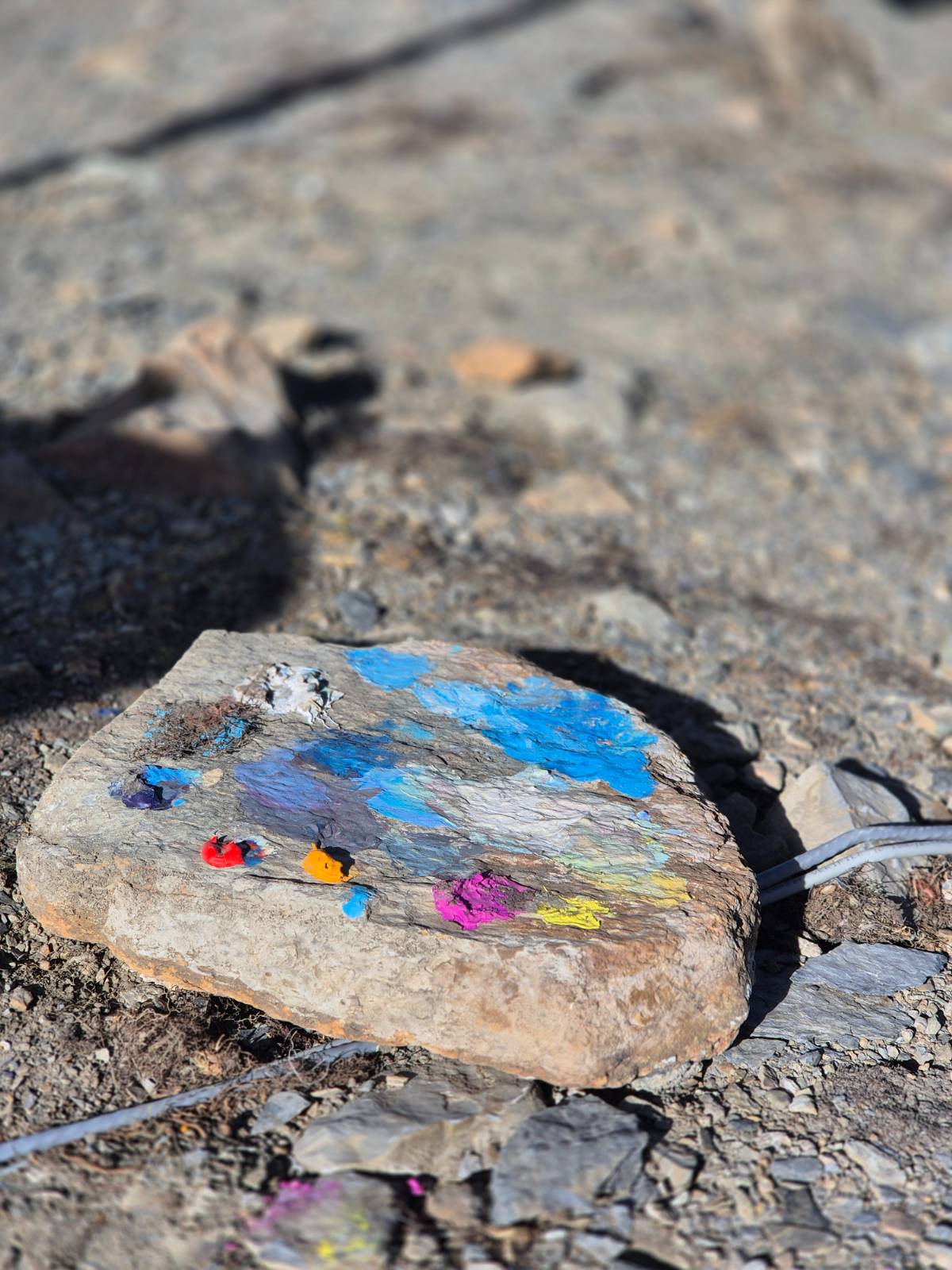 틸리쵸 호수에 있던 어떤 예술가의 팔레트로 사용된 돌