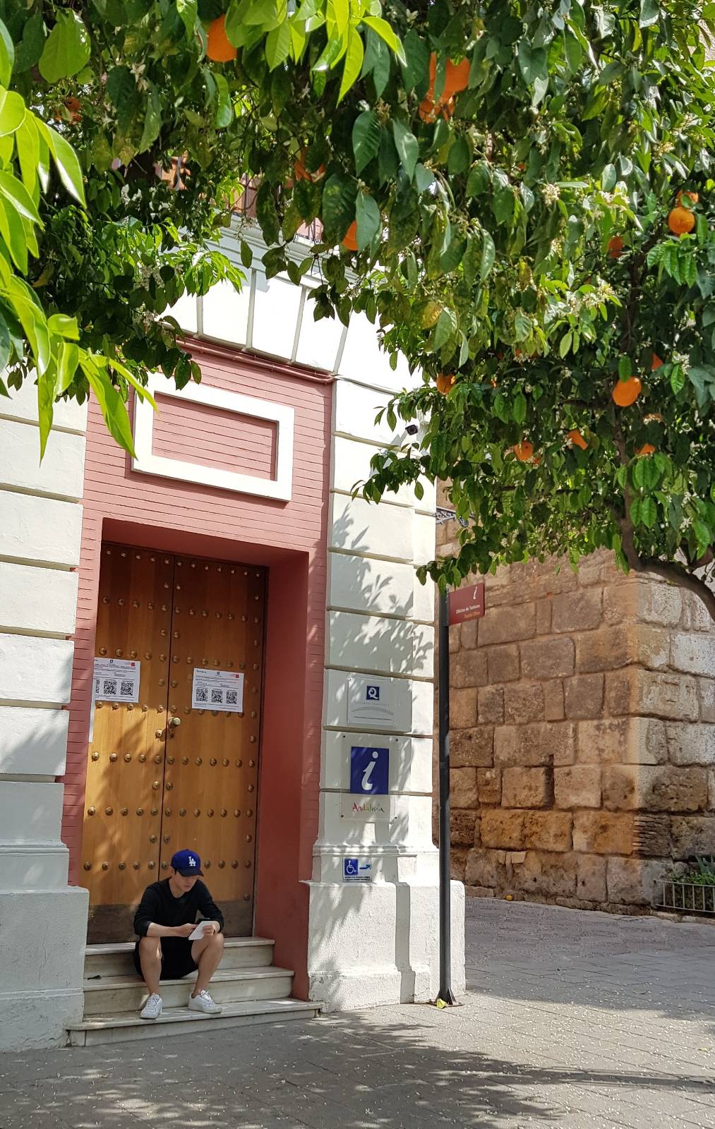 길거리마다 열려있던 오렌지 나무