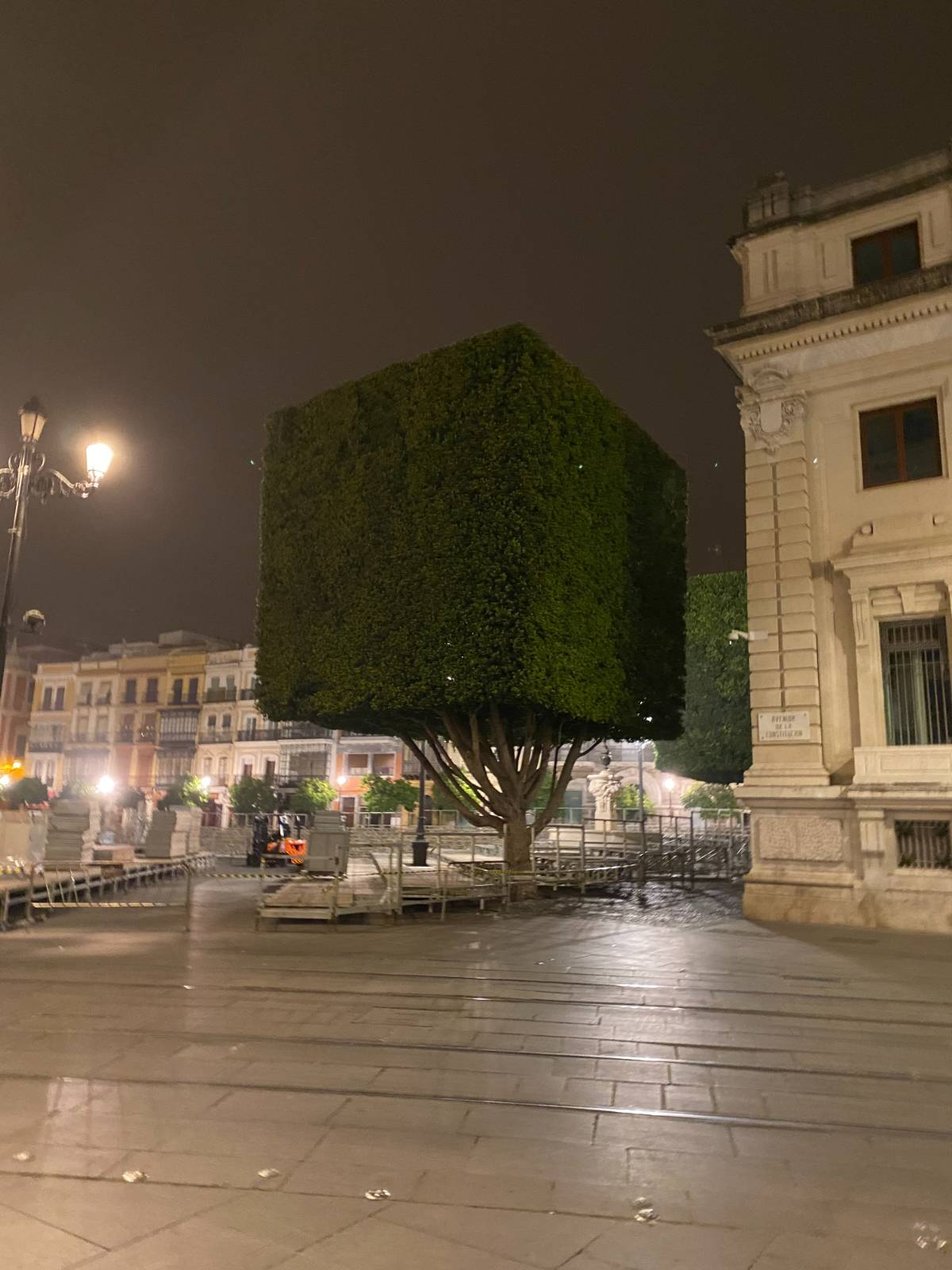 관광객이 없는 틈을 타 가지치기가 한창이었는데, 결과물이 독특했다. 게임속에서 나온 것 같던 나무.