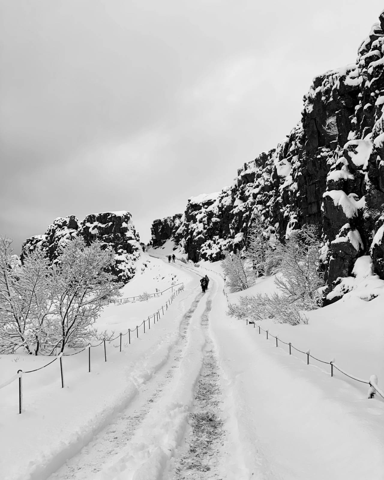 마지막 얼음 - 스카프타펠 빙하의 썸네일 이미지