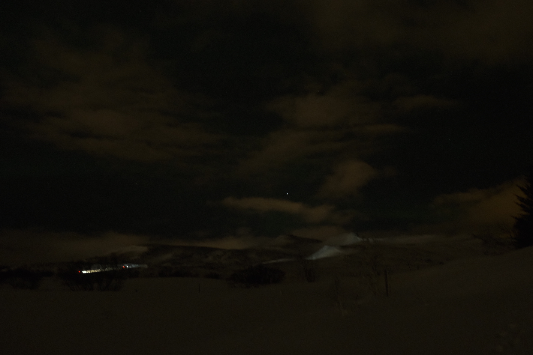 잘보면 초록색 무언가가 있다